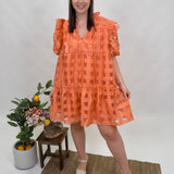 Ensley Puff Sleeve Dress