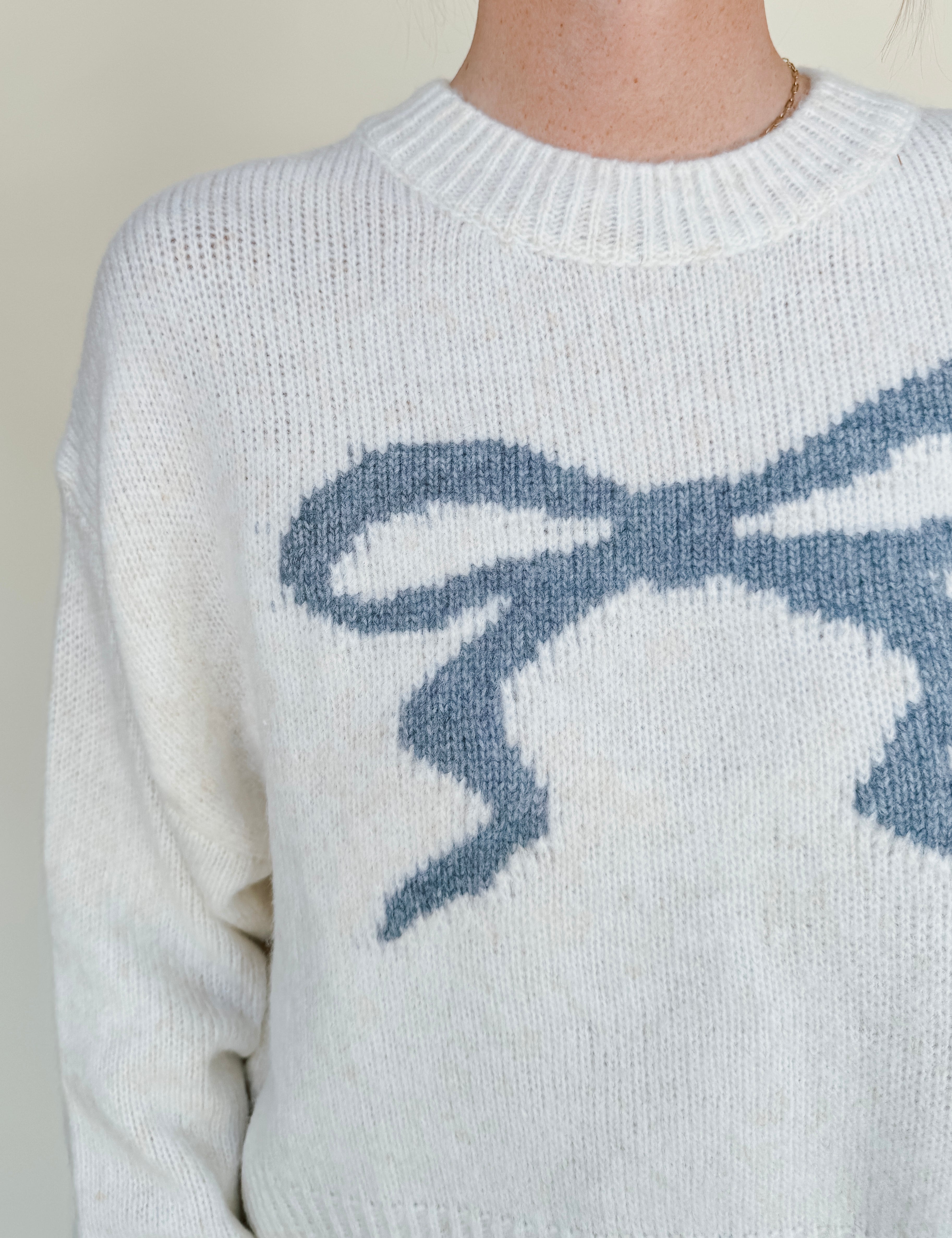 Rainey Ribbon Crew Neck Sweater