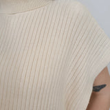 Wishful Thinking Turtle Neck Sweater