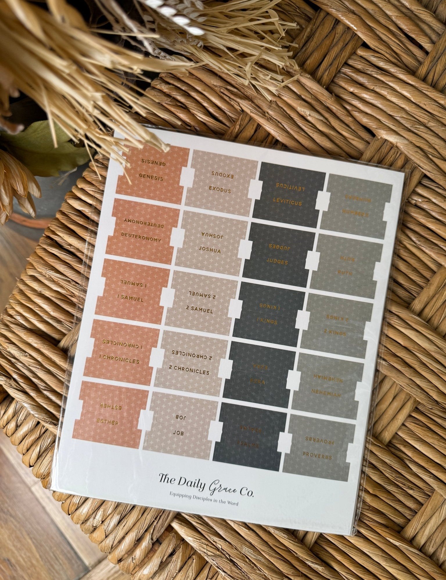 The Daily Grace Bible Tabs - PAPER DOLL