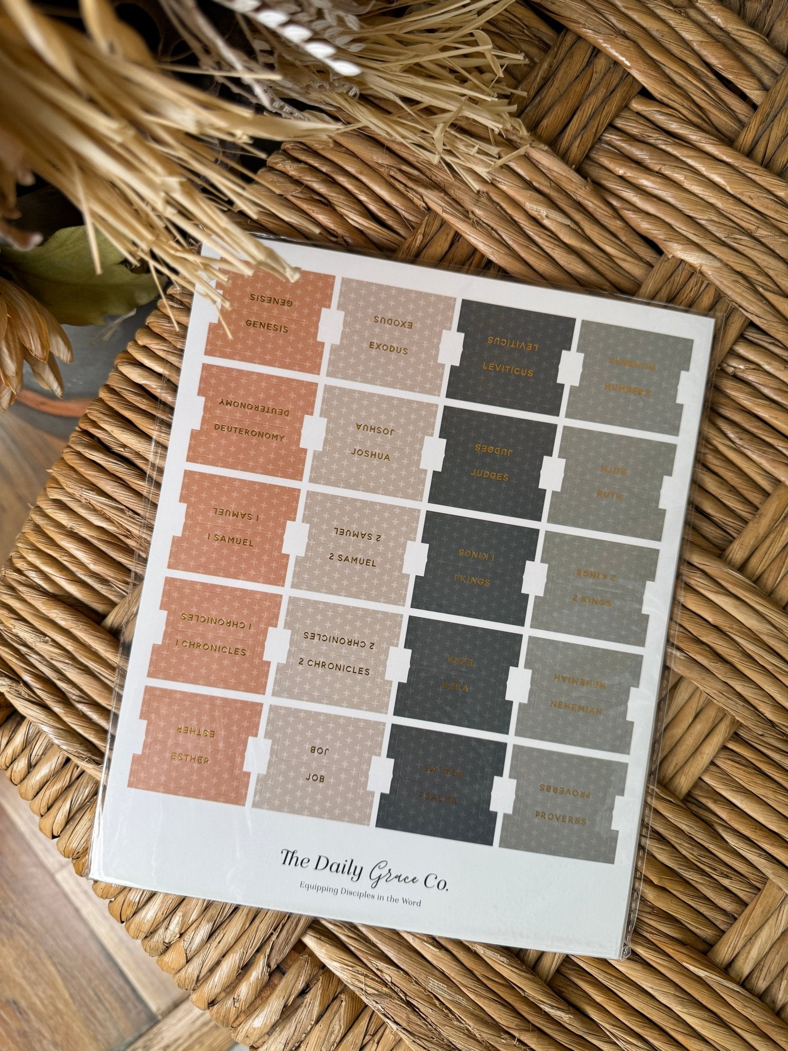 The Daily Grace Bible Tabs - PAPER DOLL