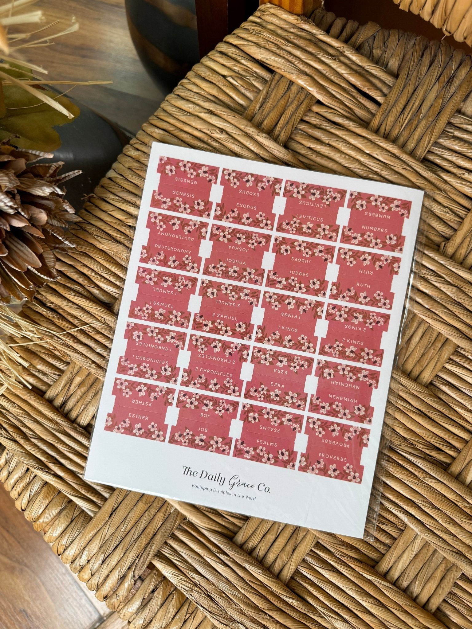 The Daily Grace Bible Tabs - PAPER DOLL