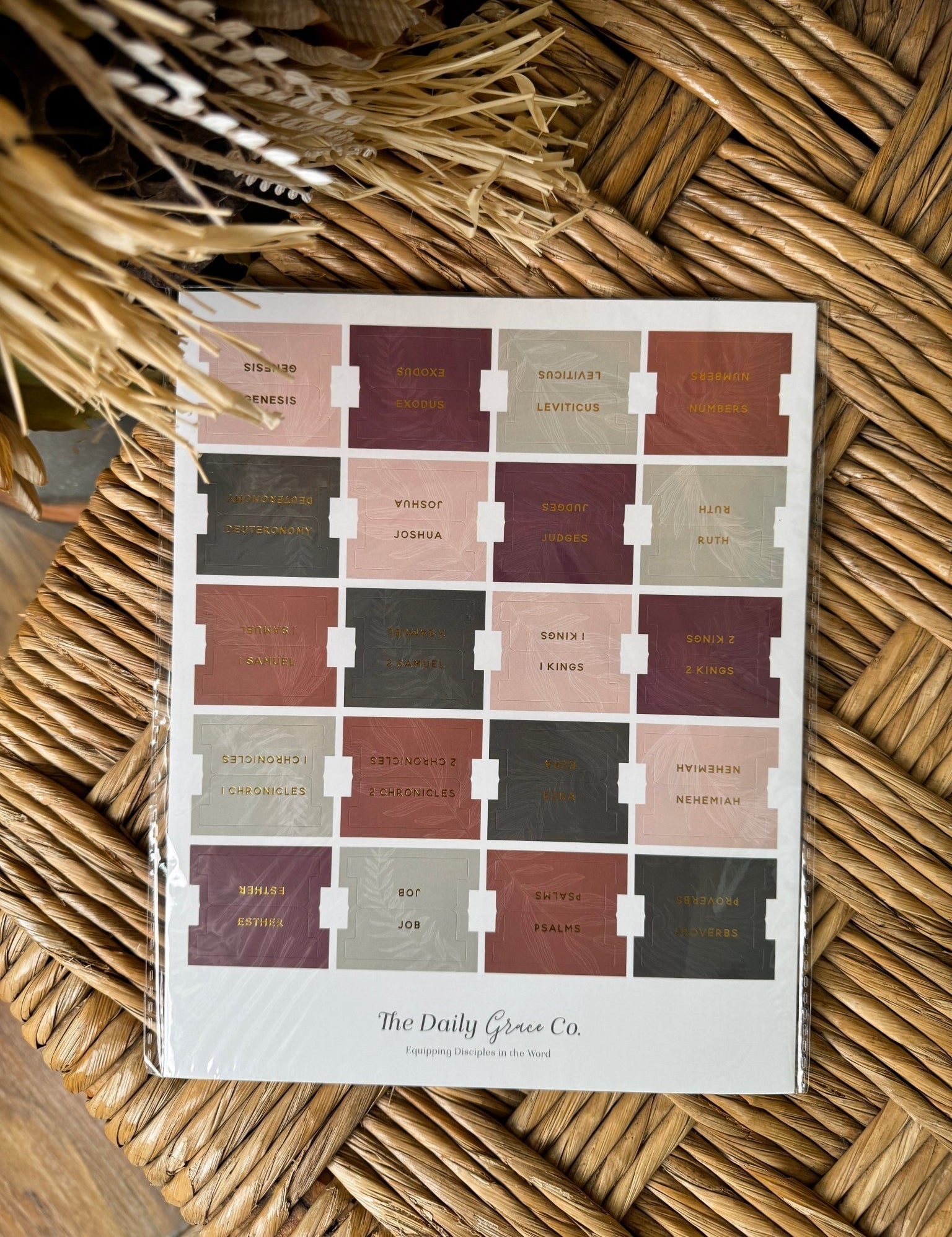 The Daily Grace Bible Tabs - PAPER DOLL