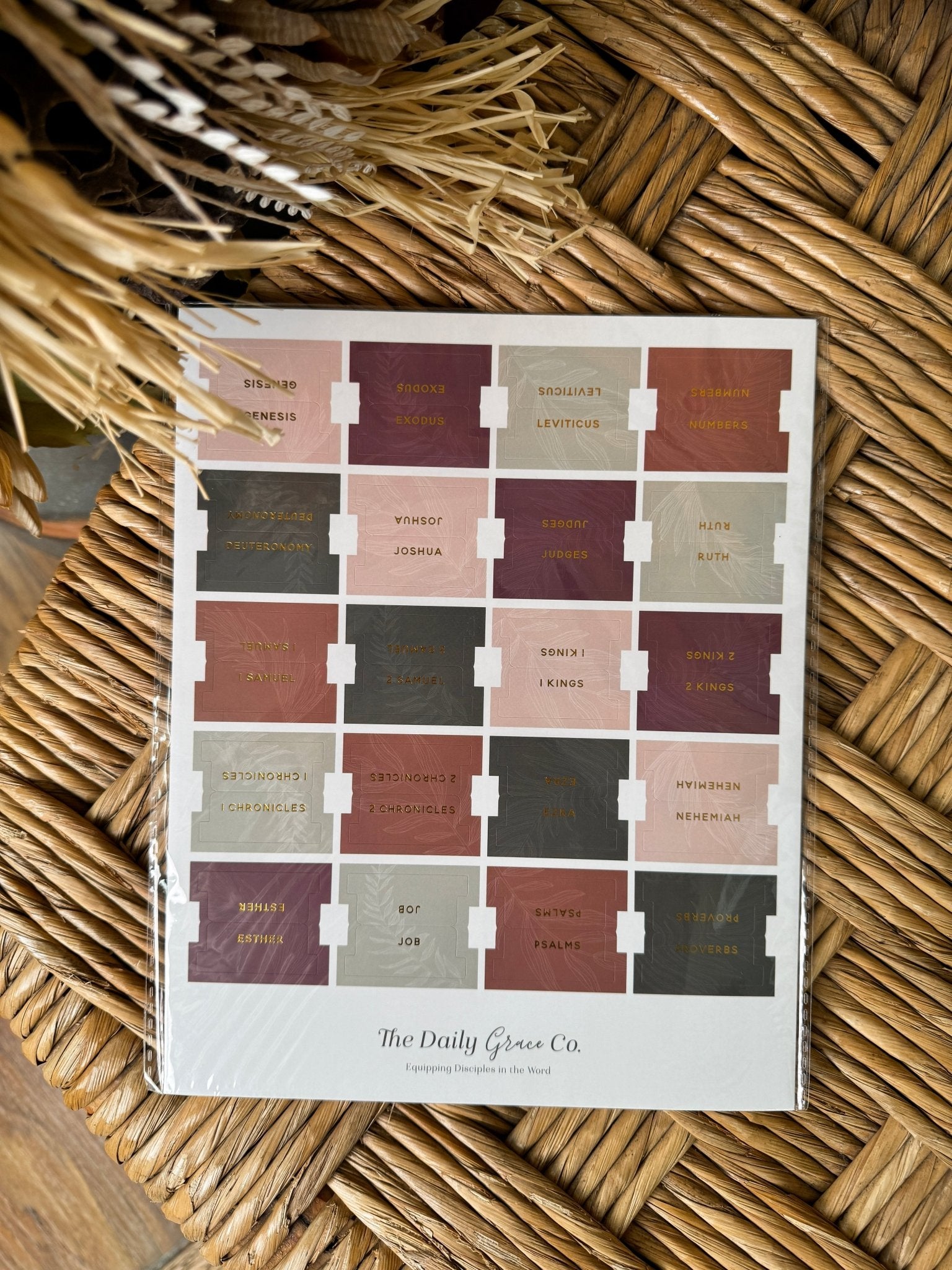 The Daily Grace Bible Tabs - PAPER DOLL