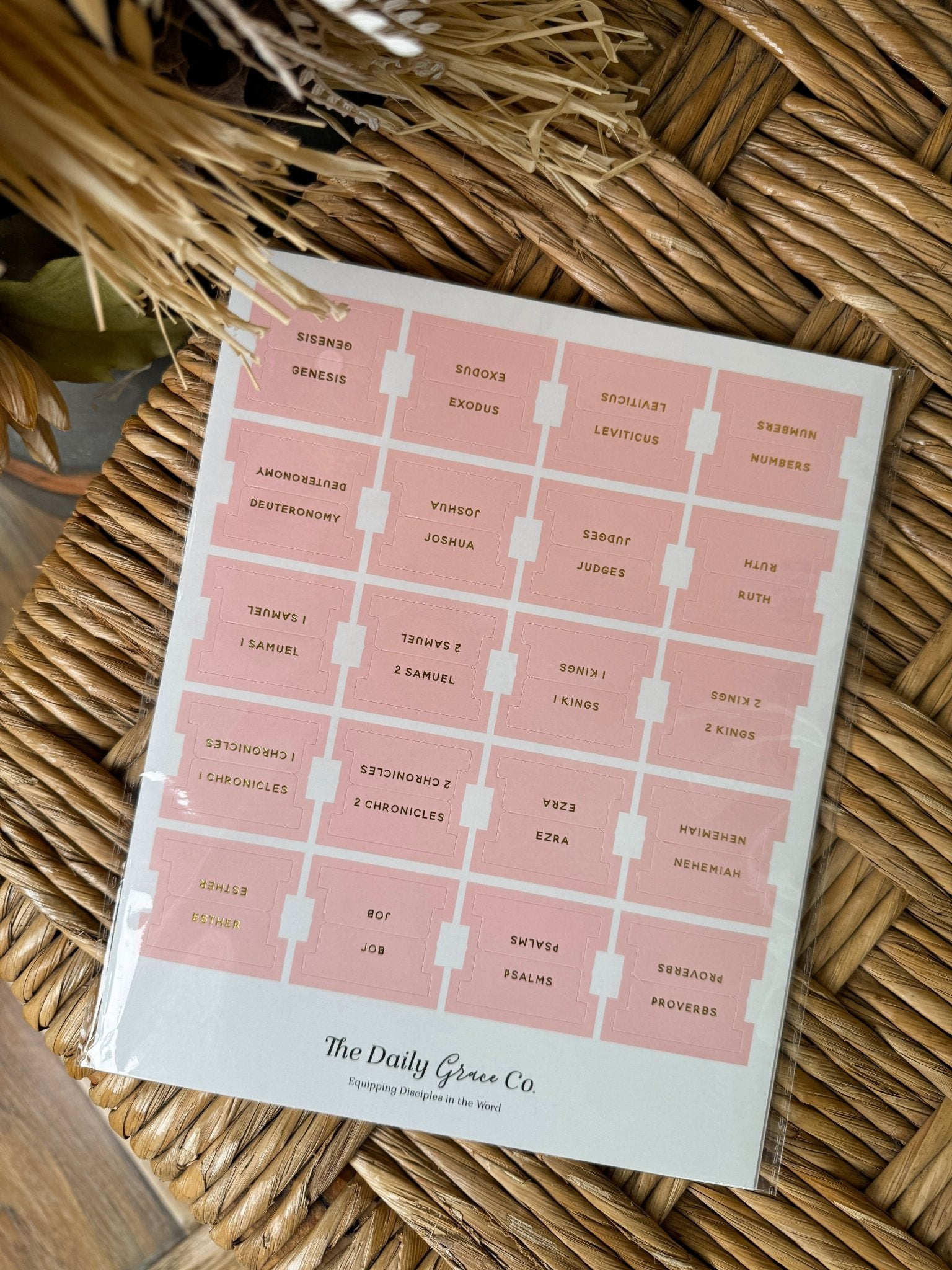 The Daily Grace Bible Tabs - PAPER DOLL