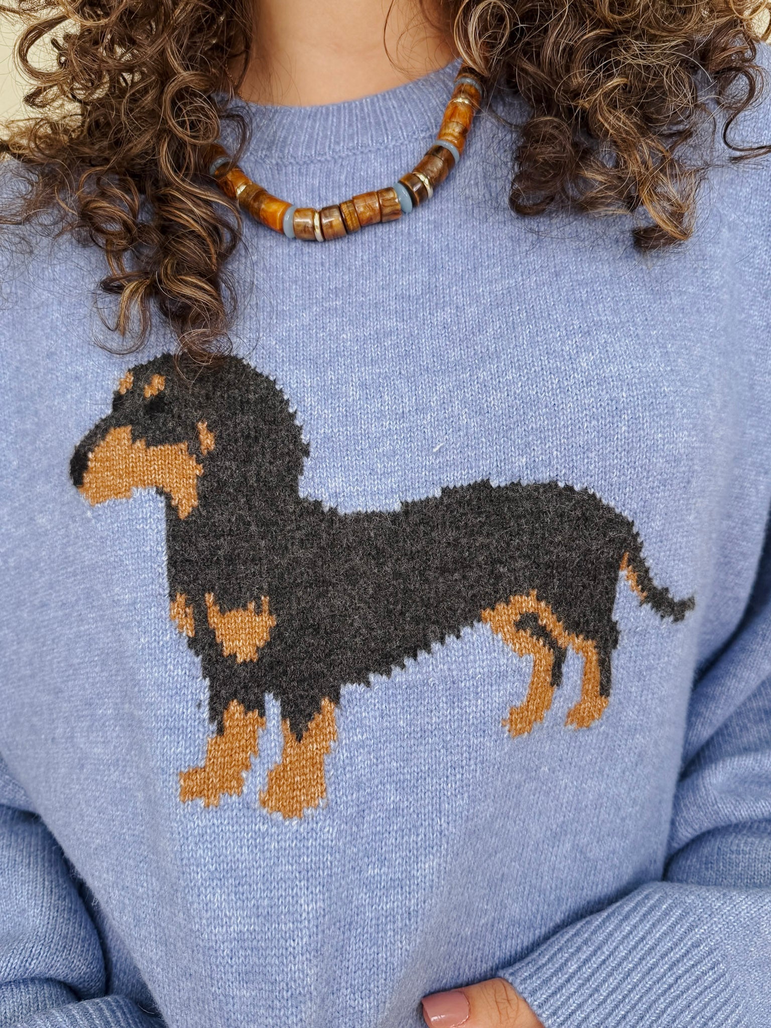 Hot Diggity Dachshund Sweater - PAPER DOLL